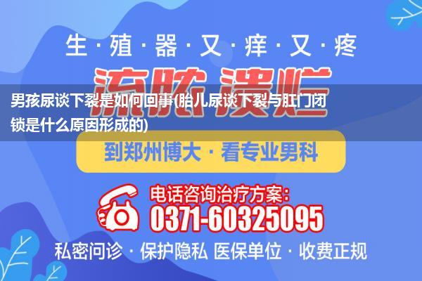 男孩尿谈下裂是如何回事(胎儿尿谈下裂与肛门闭锁是什么原因形成的)